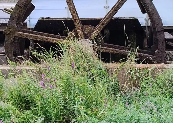 Am Wasserrad Zeil am Main